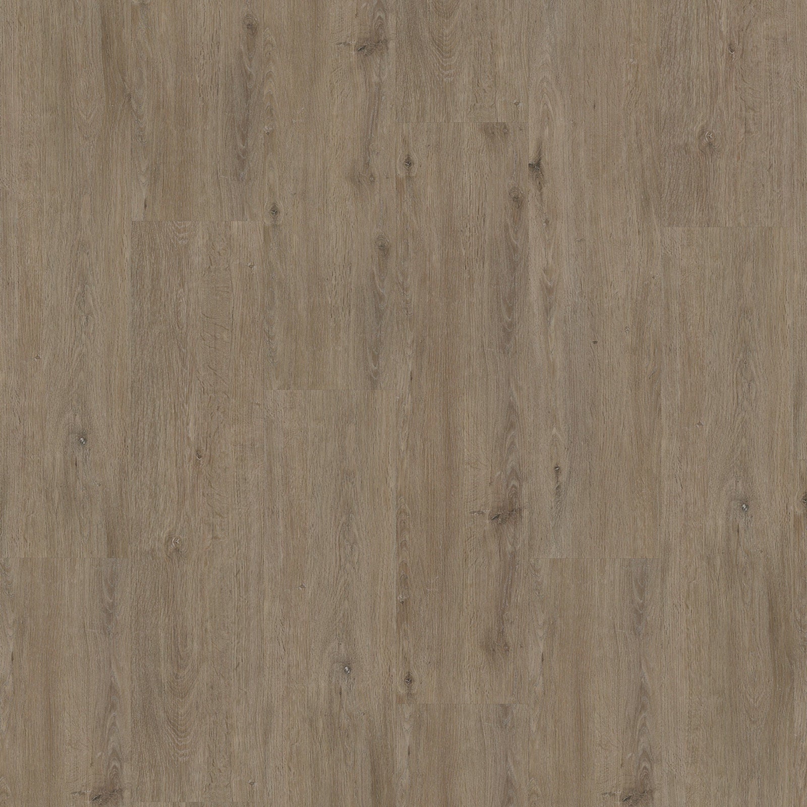 Vivafloors - 6500 Serie - Click