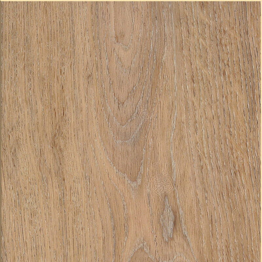 Invictus Maximus - Silk Oak - Oat 32 - Rechte Plank - Dryback