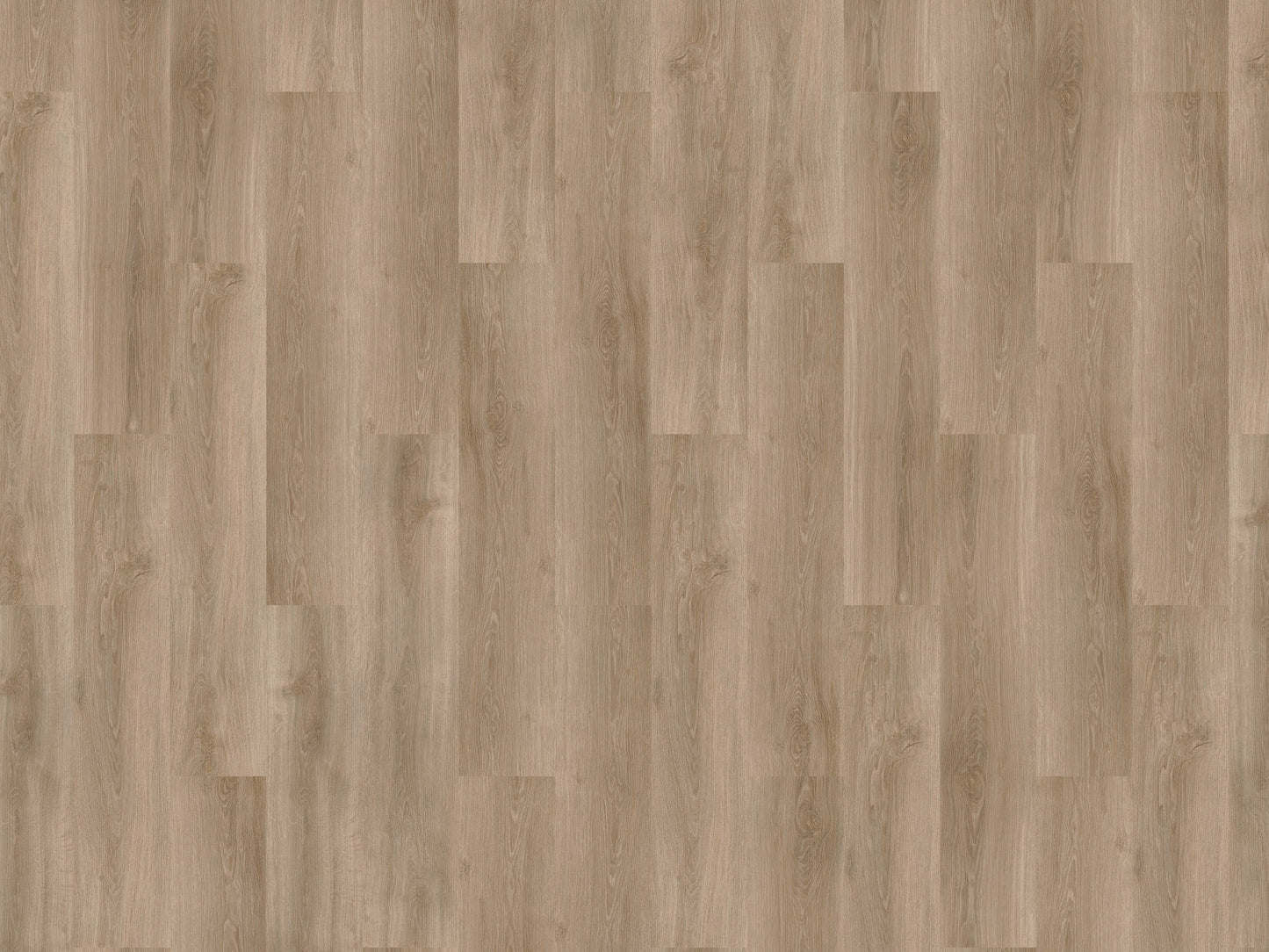 River Oak - 63025 - Douro - Dryback