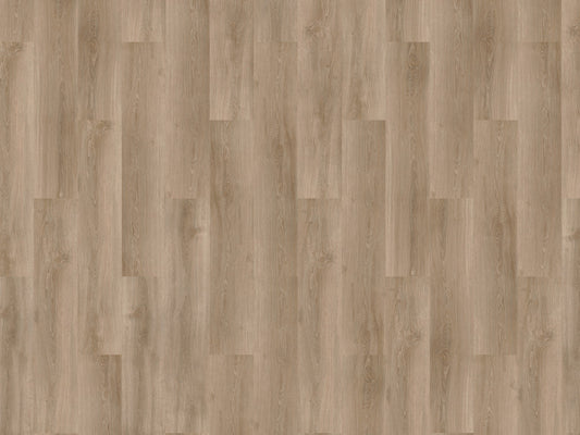River Oak - 63025 - Douro - Dryback