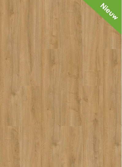 Gelasta - Oakland - 6101 - Naturel - Dryback