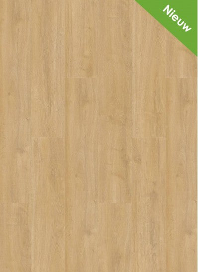 Gelasta - Oakland - 6102 - Desert - Dryback