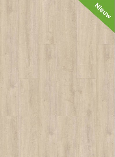 Gelasta - Oakland - 6105 - Ivory - Dryback