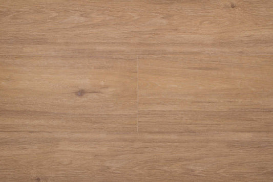 Therdex - Regular Serie - 3030 - Dryback