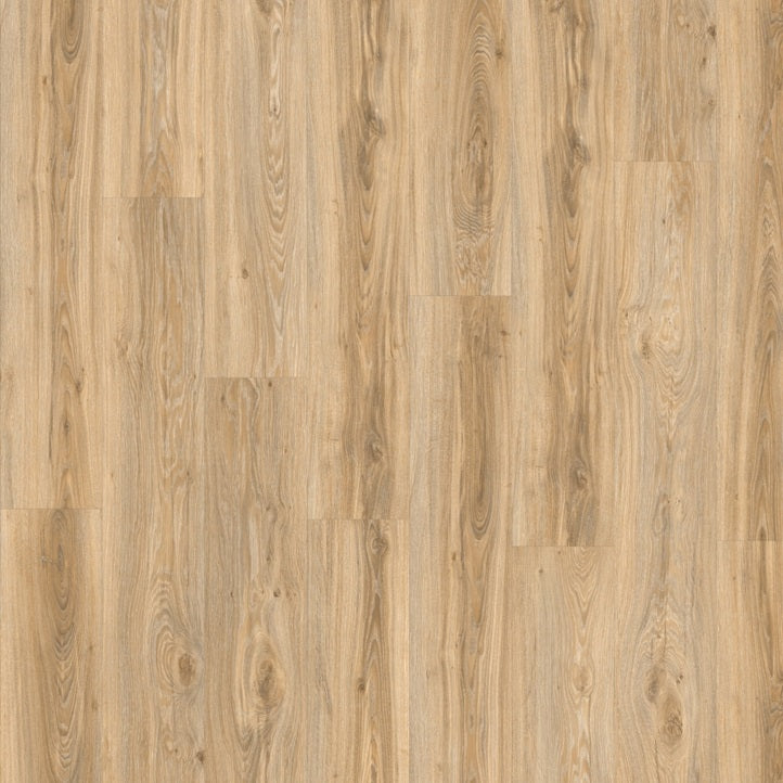 Moduleo - Roots 55 - 22220 - Blackjack Oak - Dryback
