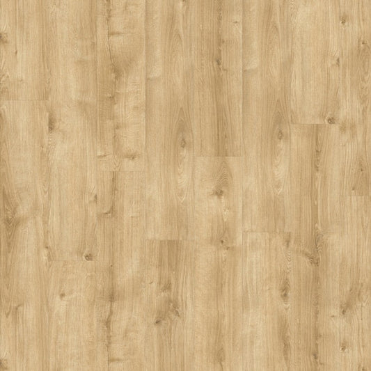 Moduleo - Roots 55 - 87372 - Galway Oak - Dryback