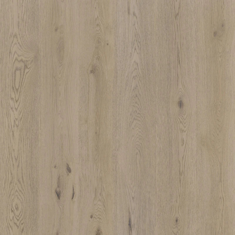 Therdex - Authentic Serie - 15061 - Dryback