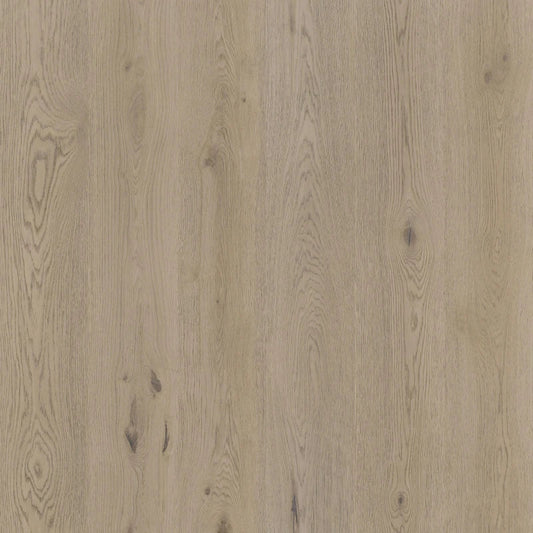 Therdex - Authentic Serie - 15061 - Dryback