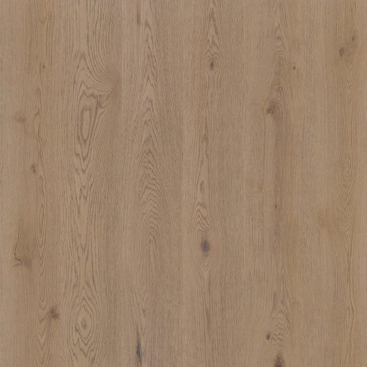 Therdex - Authentic Serie - 15062 - Dryback