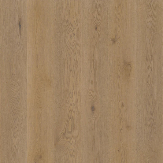 Therdex - Authentic Serie - 15063 - Dryback