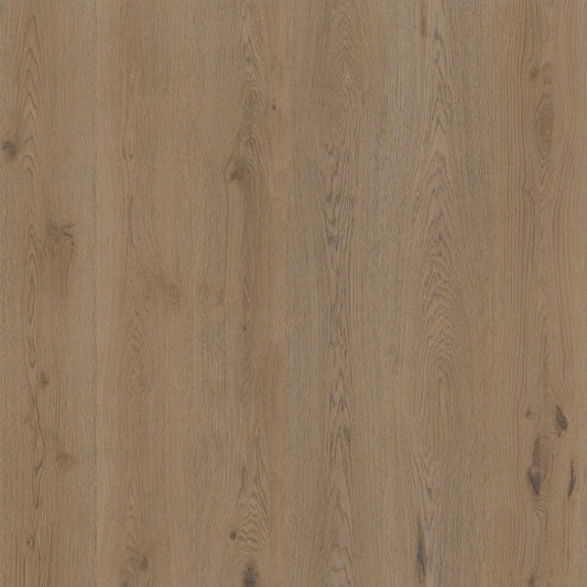 Therdex - Authentic Serie - 15064 - Dryback