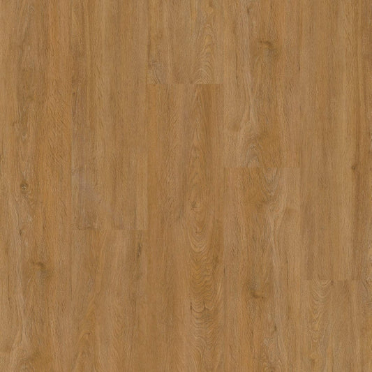 Therdex - Basic Serie - 2040 - Dryback