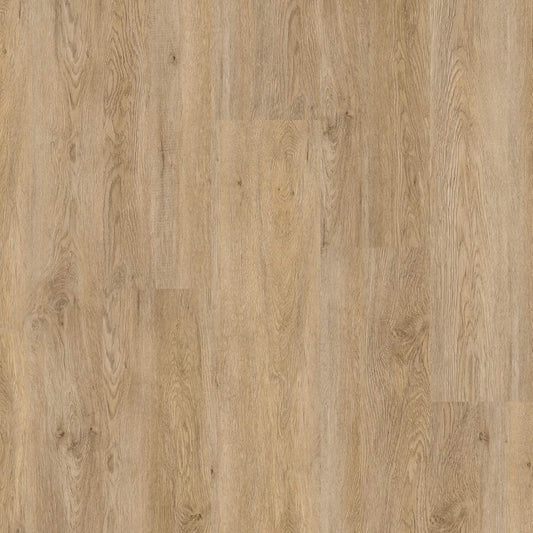 Therdex - Basic Serie - 4270 - Dryback