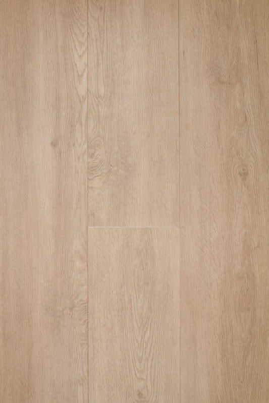 Therdex - Regular Serie - 2510 - Dryback