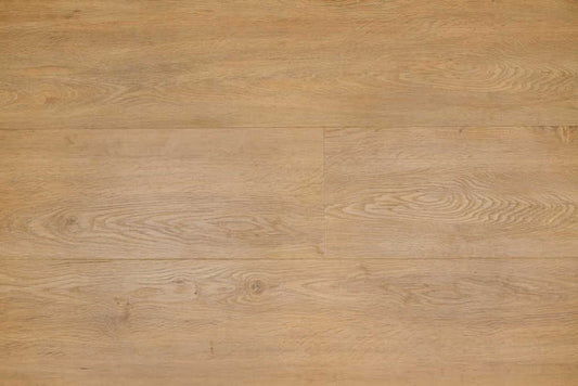 Therdex - Regular Serie - 2540 - Dryback