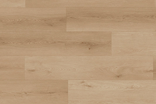 Lamett - Tigris - 5761 - Lion - Dryback